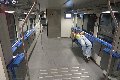 ktn_238-2.jpg